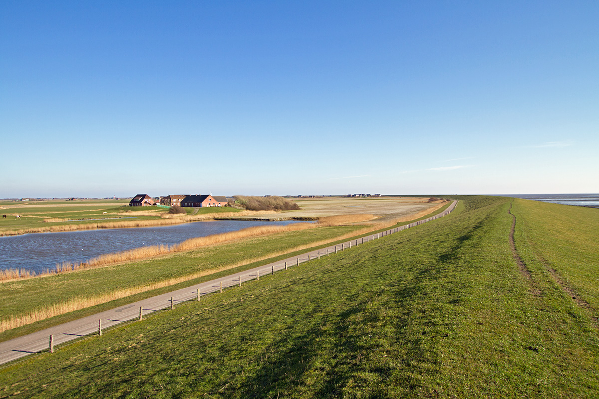 Pellwormer Deich