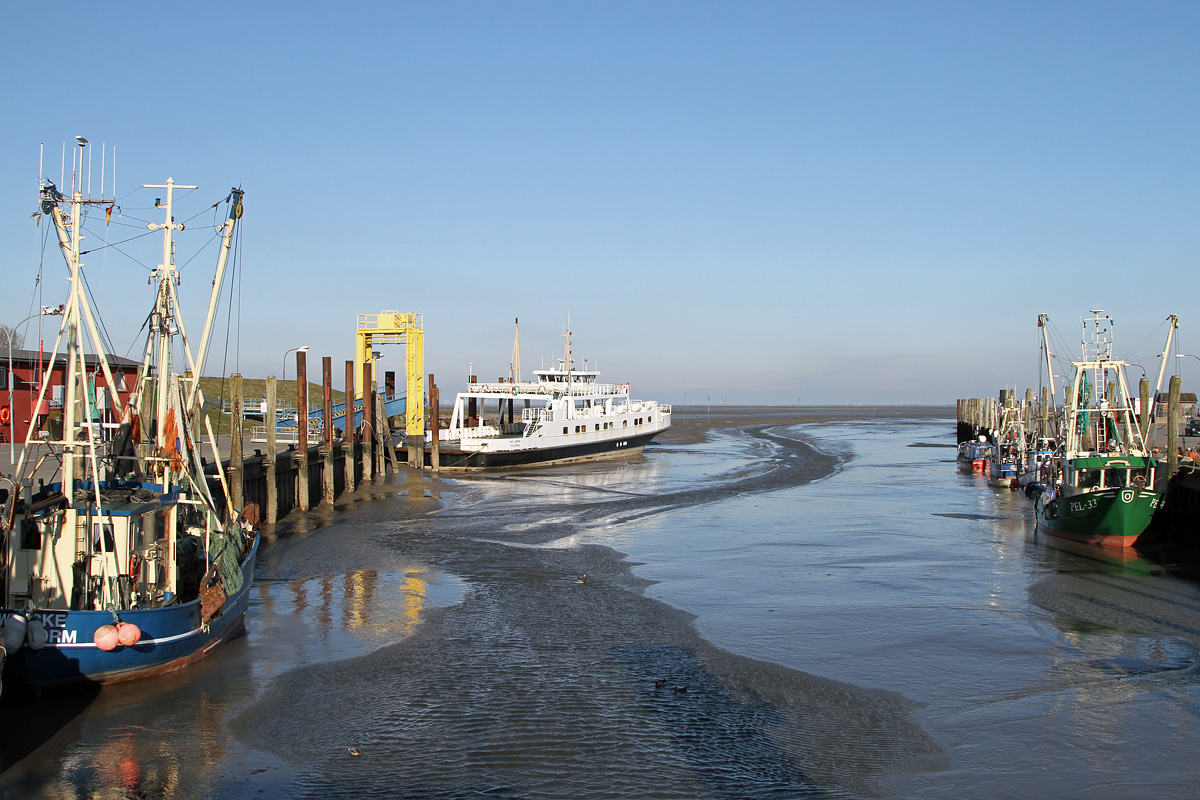Hafen von Pellworm